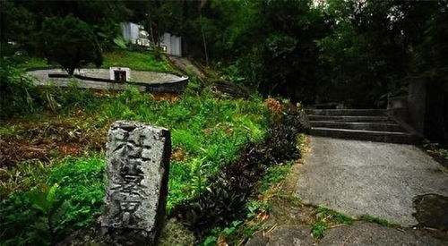 二、社会经济因素的双重作用：土地稀缺与价格上涨