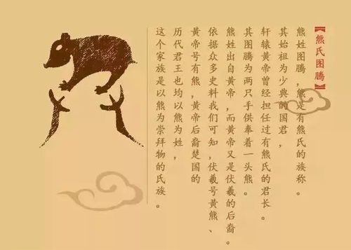姓氏本体论视域下的熊陈二姓气数演绎与风水生肖耦合机制较深度解析报告