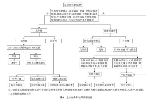 3. 运输方式选择及风险因素权衡