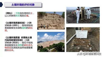 一、 入山伐木的背景与重要性