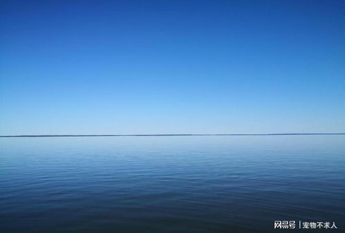 【爆哭】心理学家都不敢说的真相