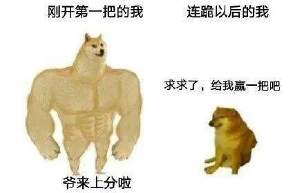 鸡飞狗跳指的是哪个生肖？鸡飞狗跳是什么生肖的别称？