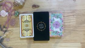 李居明麦玲玲五行穿衣预测哪个更准确？