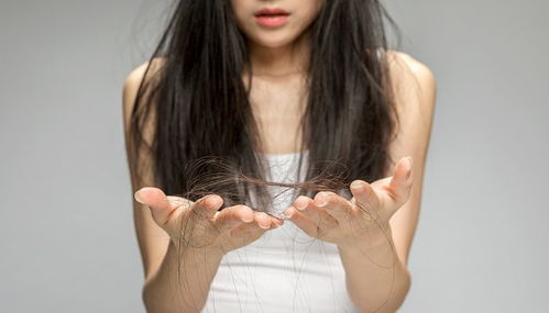 男人梦见掉大把头发预示着什么征兆？