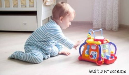 那个冷冰冰的数字到底是个啥玩意儿？