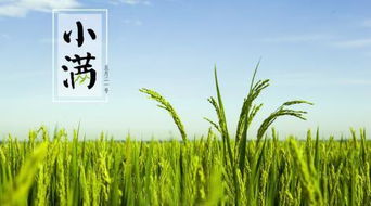 农事活动与农业生产的关键节点