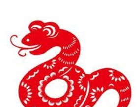 属蛇白羊座2026年一月运势及逐月运程具体内容是什么？