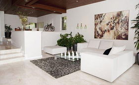 二、  吉祥摆件与磁场能量的共振原理