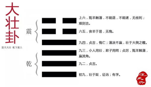 卦象解读：光明普照与蓬勃生机