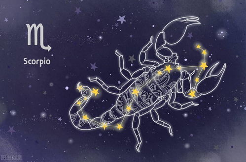 属龙天蝎女2026年爱情运势如何，她的命运会怎样？