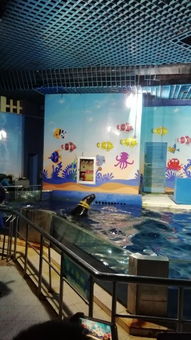 惊爆！欢乐海底世界门票骨折价！不买后悔一辈子！