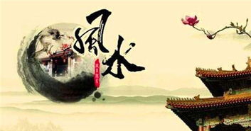 在风水布局中，一家三口应以哪位家庭成员为主进行风水调整？