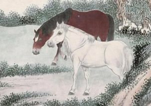 属马男2026年感情运势中，本命菩萨指的是什么？