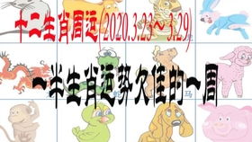 生肖属性与不法行为之间的类比解析