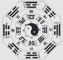 阴阳命的人通常有哪些显著特征和具体表现？