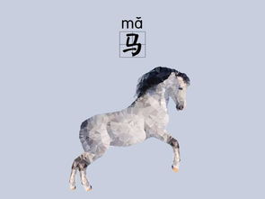 寅时（03：00–05：00）