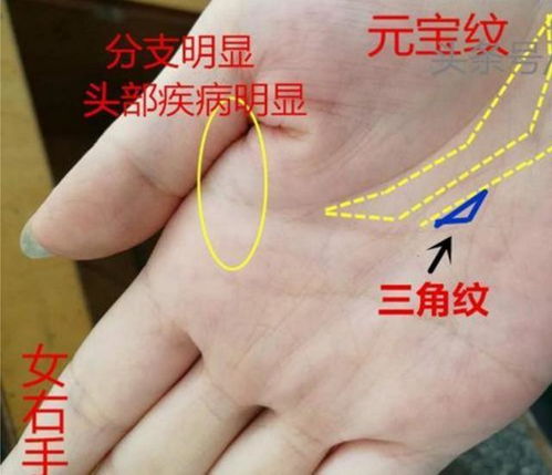 八字中手相显示蕞凶寡妇命，嫩否为吉祥手相？