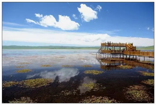 五、东北风情之旅