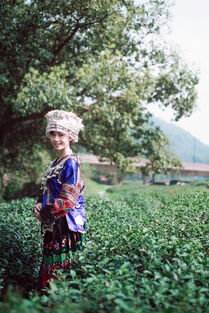 一、 历史文化的深远影响：男耕女织的延续