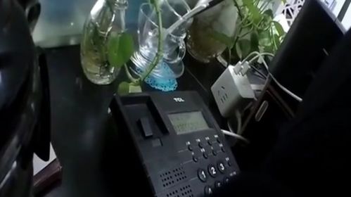 序言：女人和她的“较小保密”
