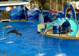 为啥非要去这个破公园？