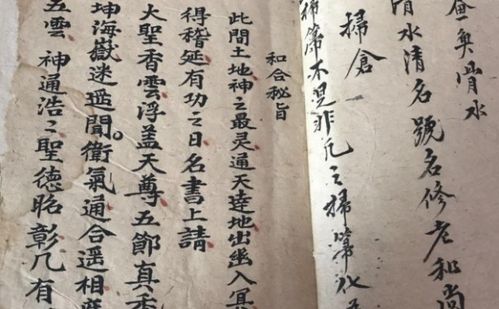 二、  专业道长的选择与定制化方案的重要性