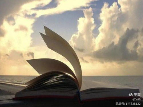 秩序崩塌与人性的堕落