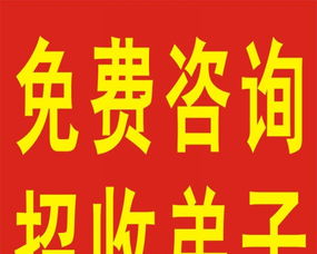 宁波算命取名和广州起名算命，哪家更准呢？
