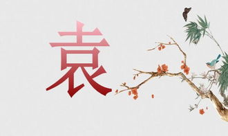 那些融入了汉族的兄弟民族