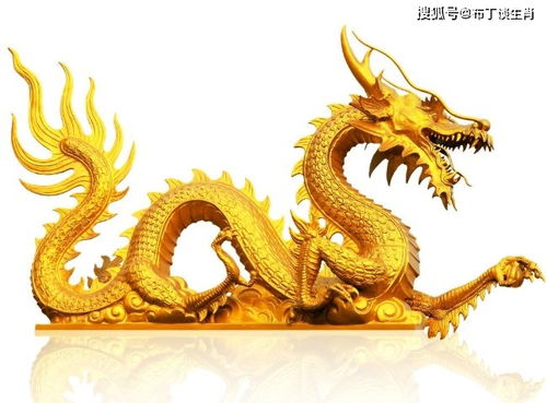 属龙人2026年1月财富运势如何？属龙人2026年财富运会有哪些变化？