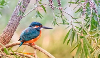 五行命理与行业属性匹配