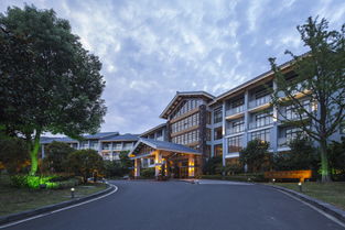 溧阳温泉度假酒店推荐：泡汤之旅的终极指南