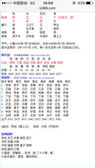 如何查询八字中代表夫妻关系的星曜？