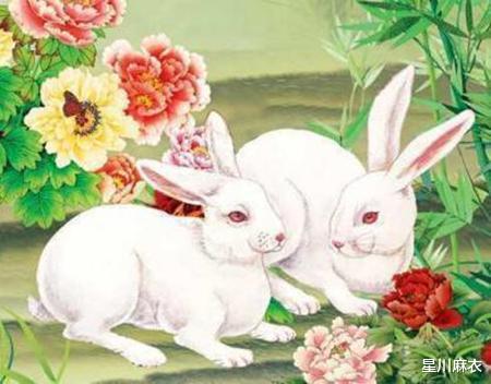 属蛇合兔的婚姻相配，兔克蛇是什么意思？