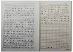 四、 评价体系建设：关注个体差异与内在动力激发