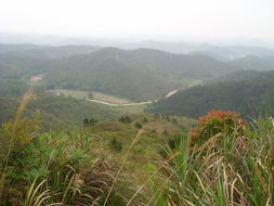 广西水口山风水如何改写才能更好地体现其地理优势？