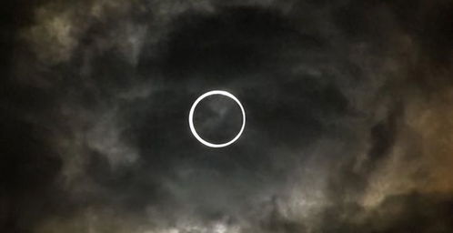 一、 黑天鹅在传统文化与星相学中的象征意义