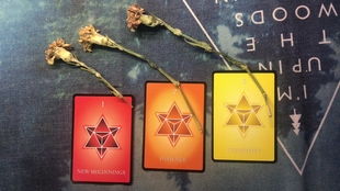 板栗占卜的玄学时刻