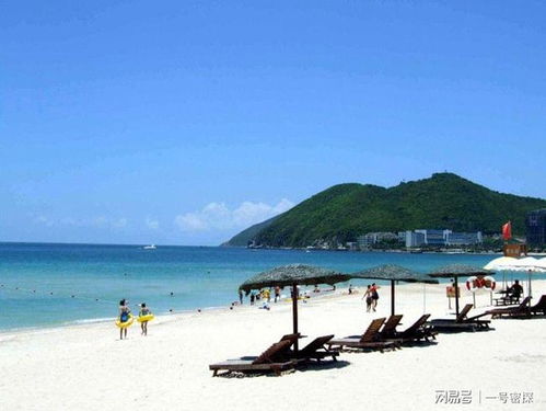 自由行的陷阱， 定制游的救赎