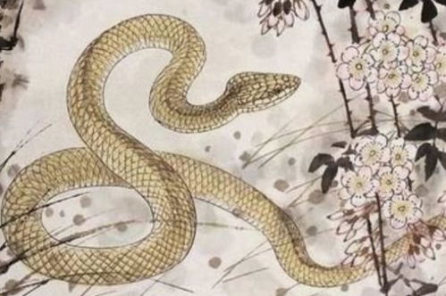 1977年属蛇人在2026年的财运和事业运势具体细节如何？