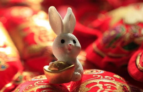 属兔人未来三年财运如何？兔本命佛的含义是什么？