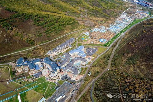 餐饮体验：饿不死就行