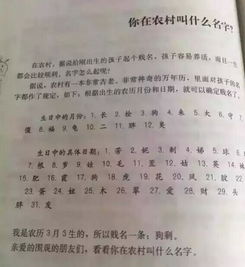 一字取名的现实优势与社会学观察