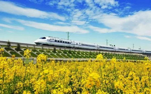 天井湖公园必须去不去后悔一辈子！