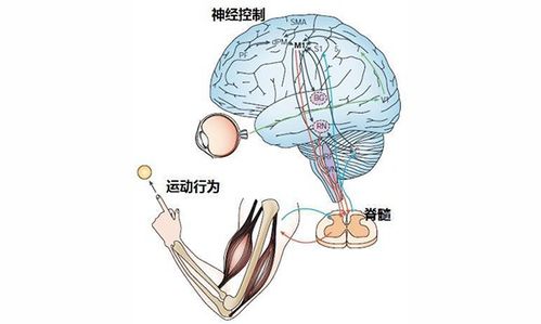 一、 传说本体及关键事件之叙事沉重构