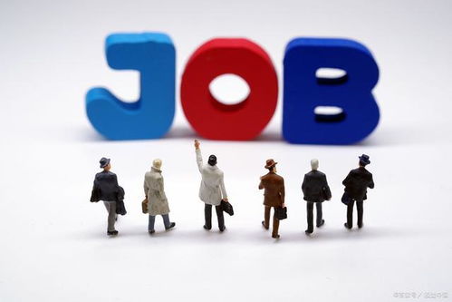 一、 晨起之时：阳气升发与“薄荷时间”的气场构建