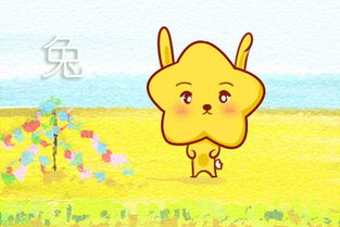 生肖兔：温柔与敏感的纠葛