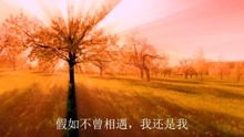 心理分析与反思