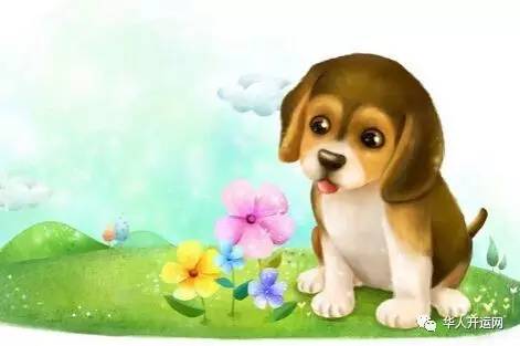 2026年属狗女性婚姻运势如何，具体表现是什么？