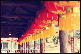 传统纽带：生肖符号与乡土秩序的深层关联